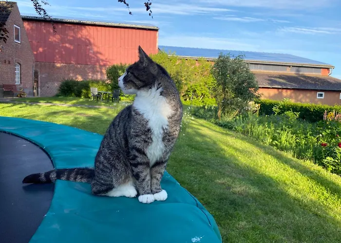Lejlighed Bauernhof Kleingarn - Bauernhus 13 Sulsdorf auf Fehmarn